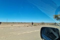 20230306_144959-scaled