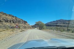 20230306_154652-scaled