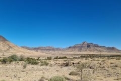 20230306_155056-scaled