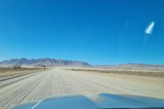 20230306_162310-scaled