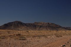 IMG_0768-scaled