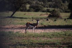 IMG_0511-scaled