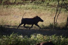 IMG_0548-scaled