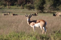 IMG_0568-scaled