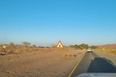 20230307_072037-scaled