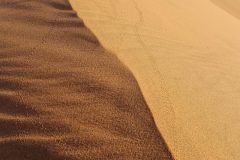 20230307_075512-scaled