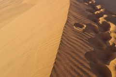 20230307_075524-scaled
