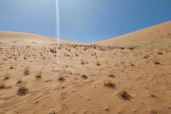 20230307_103950-scaled