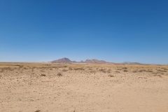 20230307_144500-scaled