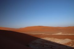 IMG_0799-scaled