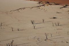 IMG_0855-scaled