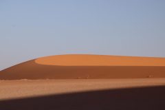IMG_0895-scaled