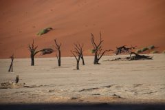 IMG_0924-scaled