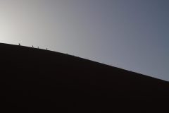 IMG_0935-scaled