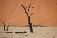 IMG_0936-scaled