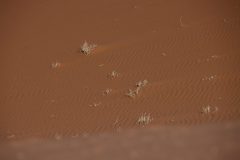 IMG_1022-scaled