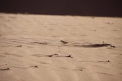 IMG_1027-scaled