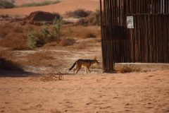 IMG_1035-scaled