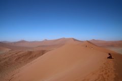 IMG_1145-scaled
