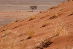 IMG_1183-scaled