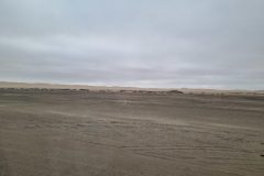 20230308_082108-scaled