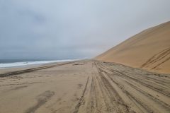 20230308_135632-scaled