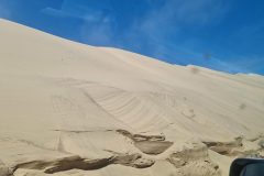 20230308_141557-scaled