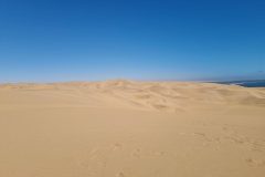 20230308_150345-scaled