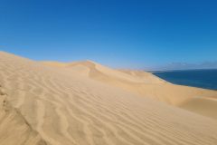 20230308_152100-scaled