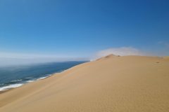 20230308_153121-scaled