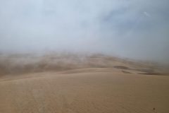 20230308_160640-scaled