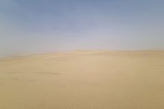 20230308_162654-scaled
