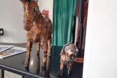 20230309_100227-scaled