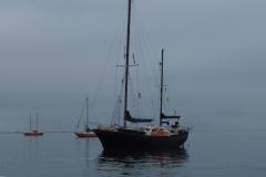 DSCN0705