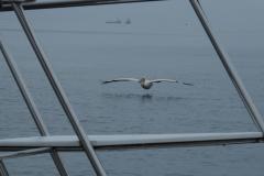 DSCN0719