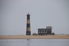 IMG_1205-scaled
