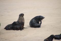 IMG_1217-scaled