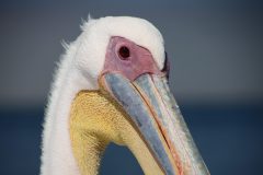IMG_1309-scaled