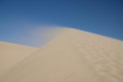 IMG_1413-scaled