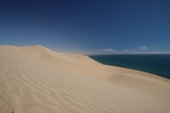 IMG_1419-scaled