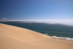 IMG_1455-scaled
