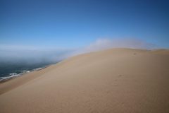 IMG_1457-scaled