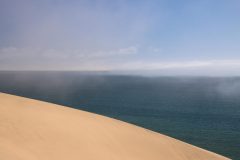 IMG_1517-scaled