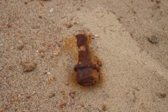 IMG_1588-scaled