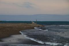 IMG_4493