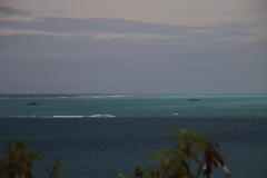 IMG_4583
