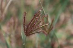 IMG_4675