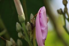 IMG_4706