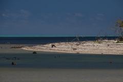 IMG_4946