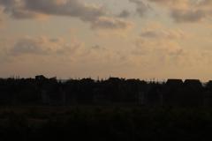 IMG_5154